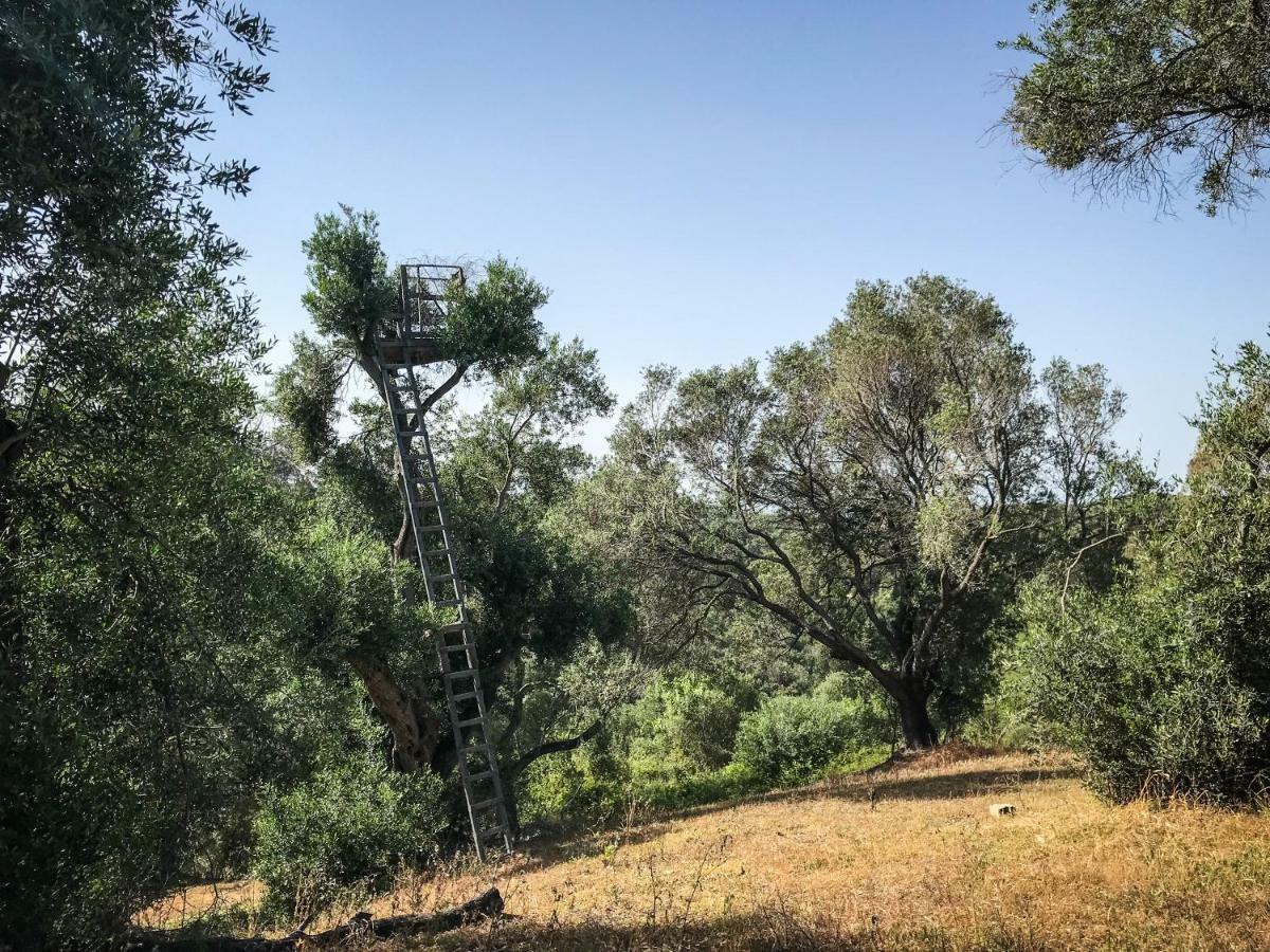 Hidden Gem In Nature Reserve Near The Beach - Corfu South Kritika  Экстерьер фото